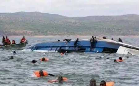 Zimbabwe : Mnangagwa décrète une catastrophe nationale après le drame du lac Kariba