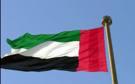Sahel : comment les Émirats arabes unis ont indirectement financé le terrorisme