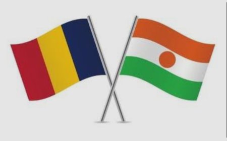 Présumé affrontement entre les armées du Tchad et du Niger : l’état-major des armées du Niger dément formellement l’information