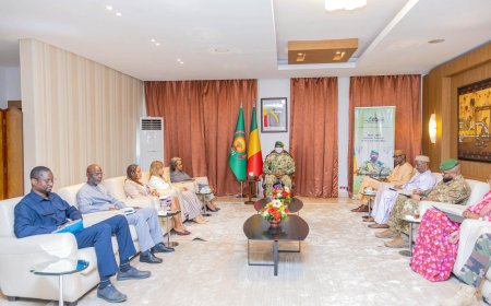 Sécurité au Sahel : Assimi Goïta échange avec l’envoyée de l’ONU sur l’avenir de l’UNOWAS