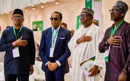 Les candidats à la présidentielle signent un accord pour une campagne pacifique au Nigeria