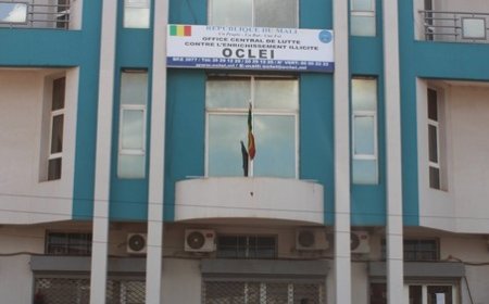 OCLEI : le rapport choc du Vegal sur la gestion de l'anti-corruption