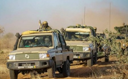 Mali : 22 militaires libérés contre 9 combattants du FLA