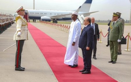 Diplomatie : Alger déroule le tapis rouge et se repositionne au cœur des affaires sahéliennes
