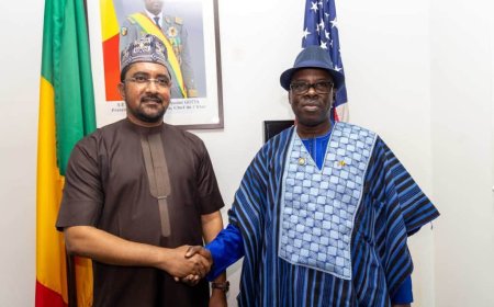 Allocution de Son Excellente monsieur Sékou BERTHE, Ambassadeur Extraordinaire et plénipotentiaire de la République du Mali à Washington DC, à l’occasion de la cérémonie de lancement du site internet dédié au répertoire des compétences de la diaspora malienne