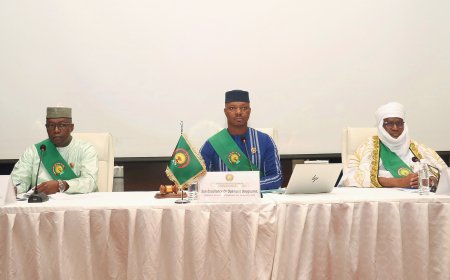 Le Parlement de l’Alliance des États du Sahel crée une commission défense et sécurité