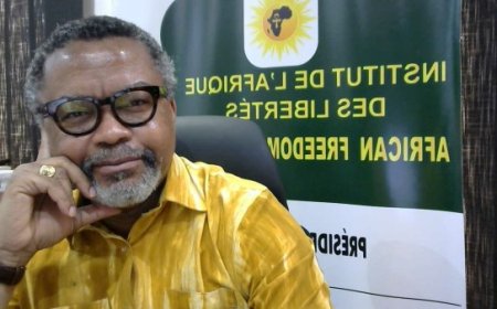 Professeur Franklin Nyamsi : «La visite en Algérie constitue un véritable coup de maître »