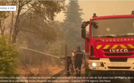 Algérie: au moins 12 personnes mortes dans des incendies dans les préfectures de Béjaïa et de Jijel, une enquête ouverte