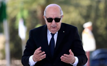 Incendies tragiques : Tebboune décrète un deuil national