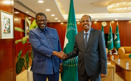 Le président de la Commission de l’Union africaine et le ministre gambien de la Défense évoquent la situation au Sahel