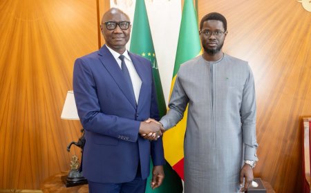 Cédéao : Faye et Diop planchent sur l’ECO et l’antiterrorisme