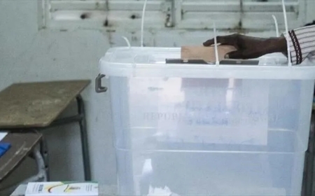 Guinée-Bissau : près de 55 % de participation au référendum constitutionnel