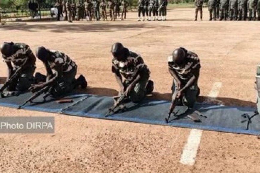 Processus du DDR-I : Plus de 300 ex-combattants du MSA rejoignent les Forces armées maliennes