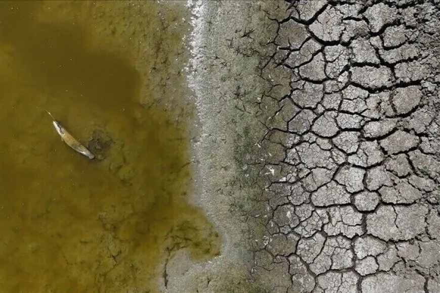 Sécheresse en France : près de 1 400 cours d’eau sans écoulement, un niveau record