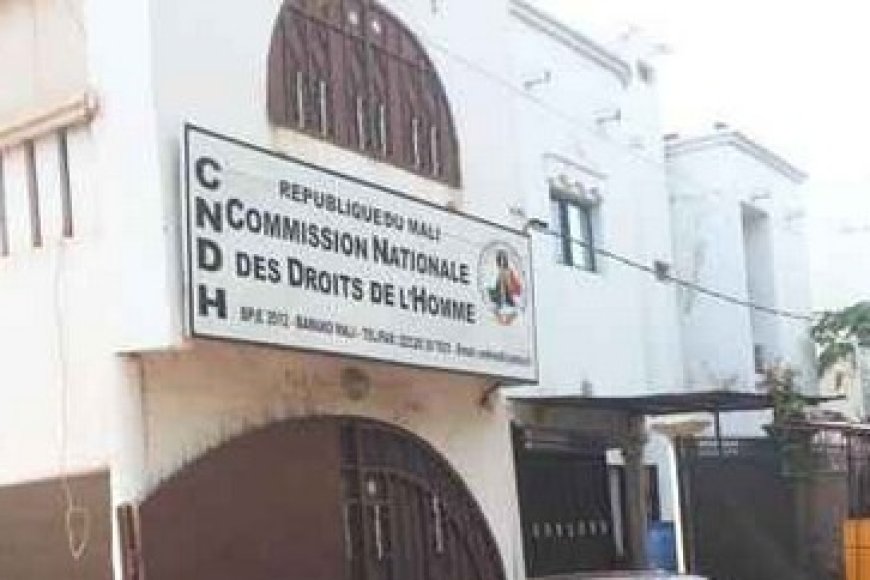 Lutte contre les Mutilations Génitales Féminines au Mali : La CNDH plaide pour une loi