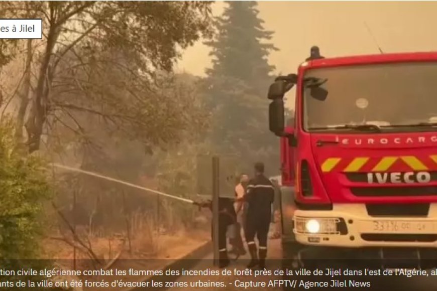 Algérie: au moins 12 personnes mortes dans des incendies dans les préfectures de Béjaïa et de Jijel, une enquête ouverte