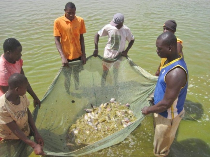 Élevage, pêche et aquaculture : Ces piliers de la souveraineté alimentaire
