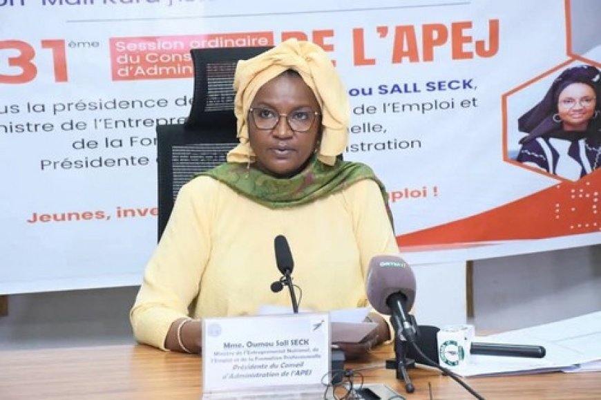 Agence pour la Promotion de l’Emploi des Jeunes : La gouvernance et la qualité des services à renforcer !