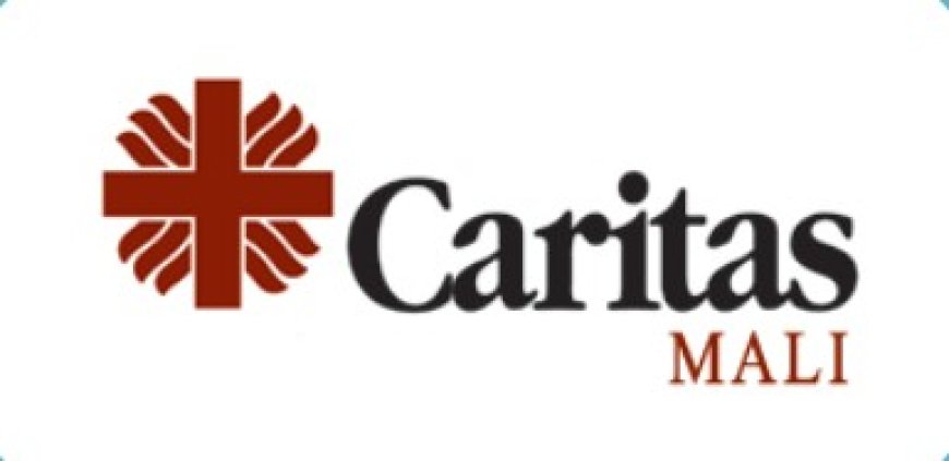 Caritas Mali: Avis d'appel d'offres (Avis de lancement de mil)