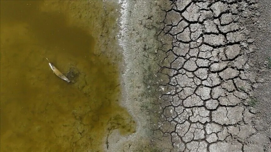 Sécheresse en France : près de 1 400 cours d’eau sans écoulement, un niveau record