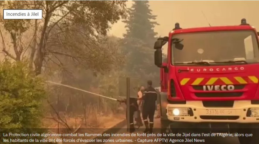 Algérie: au moins 12 personnes mortes dans des incendies dans les préfectures de Béjaïa et de Jijel, une enquête ouverte