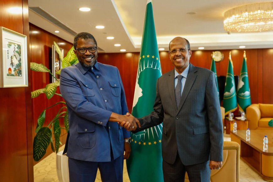 Le président de la Commission de l’Union africaine et le ministre gambien de la Défense évoquent la situation au Sahel