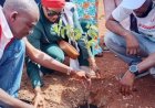 Environnement : la Croix-Rouge malienne et UBA-Mali mobilisées pour renforcer le couvert végétal de Bamako