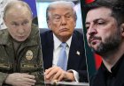 Trump envoie ses émissaires à Moscou et à Kiev avec un plan pour mettre fin à la guerre