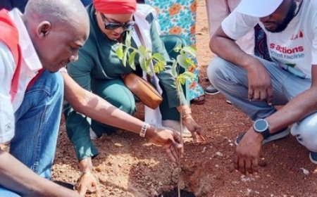 Environnement : la Croix-Rouge malienne et UBA-Mali mobilisées pour renforcer le couvert végétal de Bamako