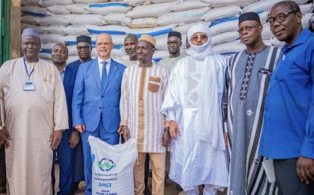 Mali : le Maroc offre 1 000 tonnes de fertilisants pour soutenir l’agriculture