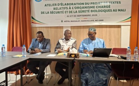 Création de l'organisme chargé de la sécurité et de la sûreté biologique au Mali: Les experts en conclave