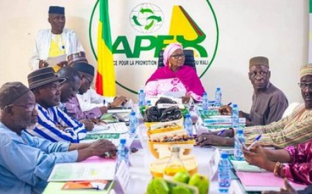 Apex-Mali : Alwata Ichata Sahi appelle à consolider les performances à l’export