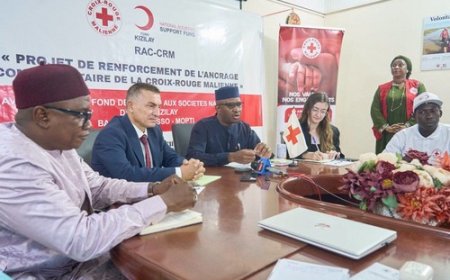 Croix-Rouge malienne : le Mali et la Türkiye renforcent leur coopération humanitaire