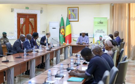 Coopération Mali–Banque mondiale : le nouveau Directeur des opérations pour le Sahel reçu à la Primature