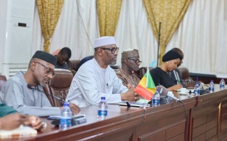 Coopération Mali-Royaume-Uni : Le ministre Abdoulaye Diop accueille la directrice afrique du FCDO
