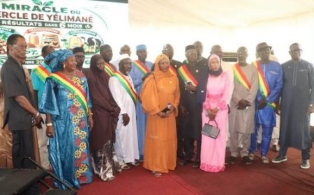 Programme Tounkaranké: les 12 communes de  Yélimané s’unissent pour transformer la diaspora en moteur du développement local