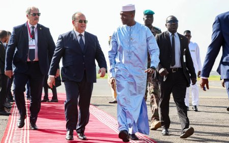 Mali–Algérie : Bamako et Alger mettent en avant les secteurs clés pour renforcer leur coopération