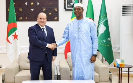 "Une nouvelle étape dans nos relations historiques" : le discours du Premier ministre algérien à Bamako