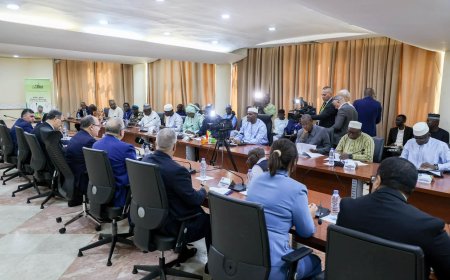 Mali–Algérie : Bamako et Alger mettent en avant les secteurs clés pour renforcer leur coopération