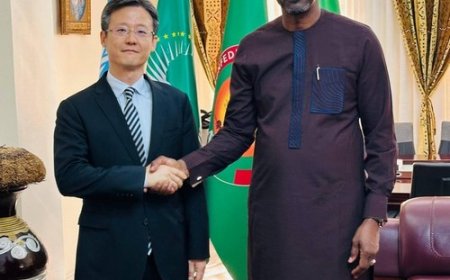 Visas chinois : Bamako et Pékin à la recherche d'un dénouement