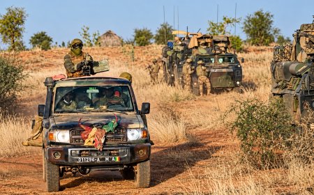 Les FAMa et l’Africa Corps du ministère russe de la Défense ont frappé des terroristes dans deux régions