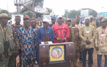 Bamako : lancement de la campagne de dépôt volontaire des armes légères et de petit calibre en Commune V