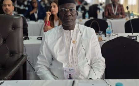 Sommet mondial sur la croissance inclusive au Zimbabwe : L’expérience malienne sur le dialogue social au menu des échangesSommet mondial sur la croissance inclusive au Zimbabwe : L’expérience malienne sur le dialogue social au menu des échanges
