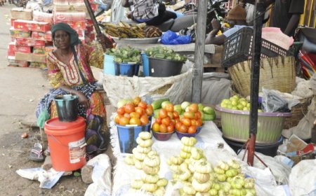 Agriculture : “GOYO”, le légume aux mille vies