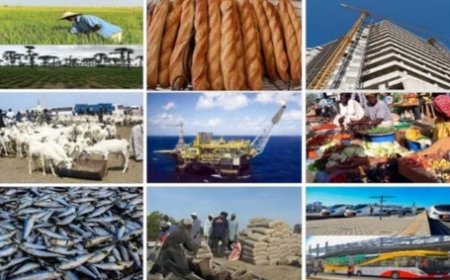 Perspectives en baisse, risque de crise institutionnelle et tensions énergétiques : La démocratie sénégalaise à l'épreuve des difficultés économiques