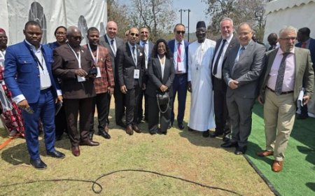Sommet mondial du TNF au Zimbabwe :  L’AICESIS apporte son expertise pour la promotion du Dialogue social