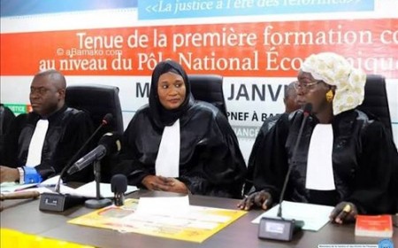 Pôle national économique et financier (PNEF) : Un taux de traitement des dossiers correctionnels de plus de 100%