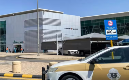 Un avion à destination de Tel-Aviv dérouté, les pilotes blessés après une possible bagarre