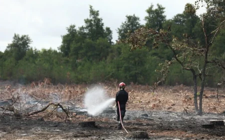 France : les incendies de l’été ont coûté 11 millions d’euros au département de la Gironde