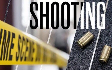 Afrique du Sud : 27 morts dans deux fusillades (police)